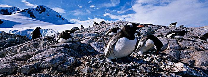 《飙酷车神2》第五季 “美国传奇”第二章更新明日免费推出